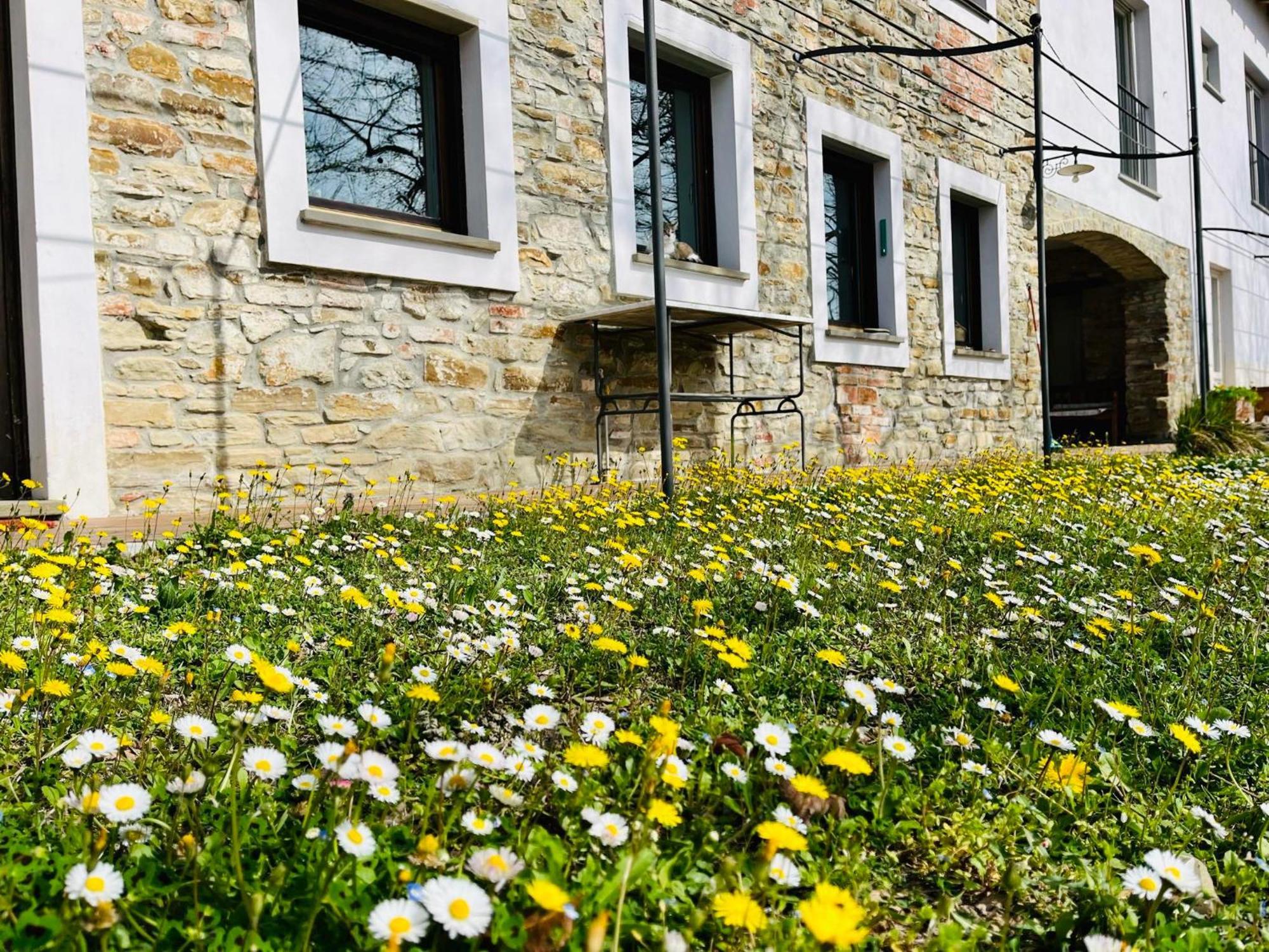 B&B Al Giardino Dei Mandorli Prasco Exterior photo